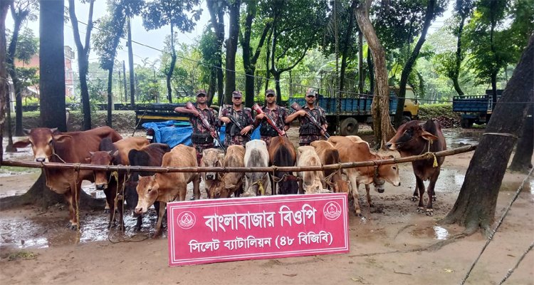 সিলেট সীমান্তে ১ কোটি ৮৬ লাখ টাকার ভারতীয় পণ্য জব্দ
