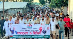 দেশকে অস্থিতিশীল করার ষড়যন্ত্রের প্রতিবাদে আজমিরীগঞ্জে বিএনপির বিক্ষোভ মিছিল