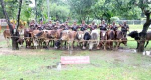 ৯ মাসে অস্ত্রসহ ৯৩১ কোটি টাকার চোরাচালান পণ্য জব্দ করেছে বিজিবি