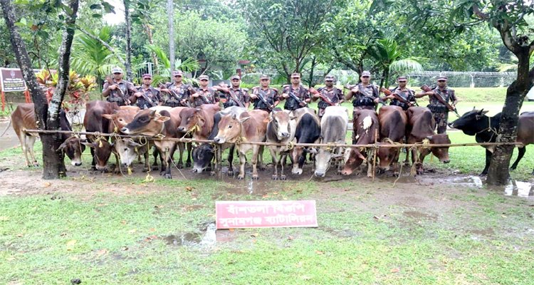 ৯ মাসে অস্ত্রসহ ৯৩১ কোটি টাকার চোরাচালান পণ্য জব্দ করেছে বিজিবি