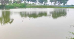 মৌলভীবাজারে পুকুরের পানিতে ডুবে দুই শিশুর মৃত্যু