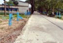 সরকারি অর্থে বৃক্ষরোপণ, বাস্তবে দায়সারা কর্মসূচি—অনিয়মের অভিযোগ