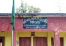 প্রধান শিক্ষকের বিরুদ্ধে গাছ কাটা-আত্মসাত করার অভিযোগ