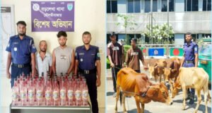 বড়লেখায় ভারতীয় গরু ও দেশীয় মদসহ গ্রেফতার ৪