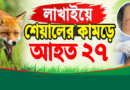 হবিগঞ্জে শেয়ালের কামড়ে নারীসহ আহত ২৭