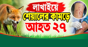 হবিগঞ্জে শেয়ালের কামড়ে নারীসহ আহত ২৭