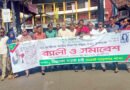 জাতীয় নিরাপদ সড়ক দিবসে নিসচা সিলেট মহানগরের র‌্যালী ও সমাবেশ