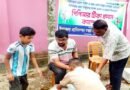 শায়েস্তাগঞ্জে ছাগল-ভেড়া পিপিআর ও ক্ষুরা রোগের প্রতিষেধক টিকা প্রদান কর্মসূচি উদ্বোধন