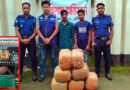 চুনারুঘাটে সিএনজির গোপন বাক্সে ৩৫ কেজি গাঁজা, গ্রেফতার ২