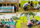 বড়লেখায় নিসচার উদ্যোগে বৃক্ষরোপণ ও শিক্ষকদের সাথে মতবিনিময়