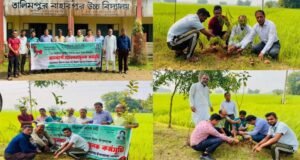 বড়লেখায় নিসচার উদ্যোগে বৃক্ষরোপণ ও শিক্ষকদের সাথে মতবিনিময়