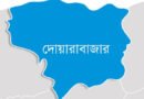 দোয়ারাবাজারে জমি নিয়ে বিরোধ, গাছ কাটাকে কেন্দ্র করে উত্তেজনা