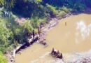 ধলাই নদীতে বিষ দিয়ে মাছ নিধন