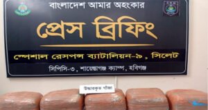 মাধবপুরে ২৫ কেজি গাঁজা উদ্ধার, পালিয়ে গেলেন একজন