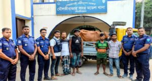 মৌলভীবাজারে সিসিটিভির সূত্র ধরে চুরি হওয়া দুই গরু উদ্ধার, গ্রেফতার ৪