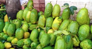 সিলেটের ‘জারা’ লেবুর কদর এখন বিদেশেও