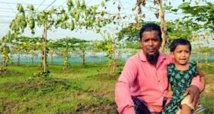 ঋণের টাকায় লাউ চাষ, এক রাতেই সর্বস্বান্ত কৃষক