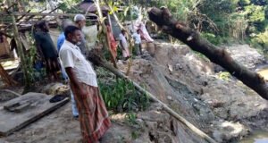 জুড়ী নদীর ভাঙনে হুমকির মুখে বসতভিটা, ফসলি জমি