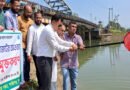 শান্তিগঞ্জে ১৬২ কেজি মাছের পোনা অবমুক্ত