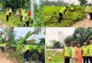 বড়লেখায় সড়কের ঝুকিপূর্ণ স্থানে রোড সাইন দৃশম্যান করলো নিসচা