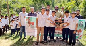 বড়লেখায় নিসচা’র উদ্যোগে শিক্ষার্থীদের মাঝে গাছের চারা বিতরণ