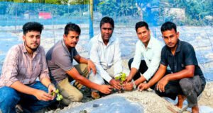লাখাইয়ে কৃষি কর্মকর্তার উদ্যোগে প্রথমবারের মতো স্ট্রবেরি চাষ শুরু